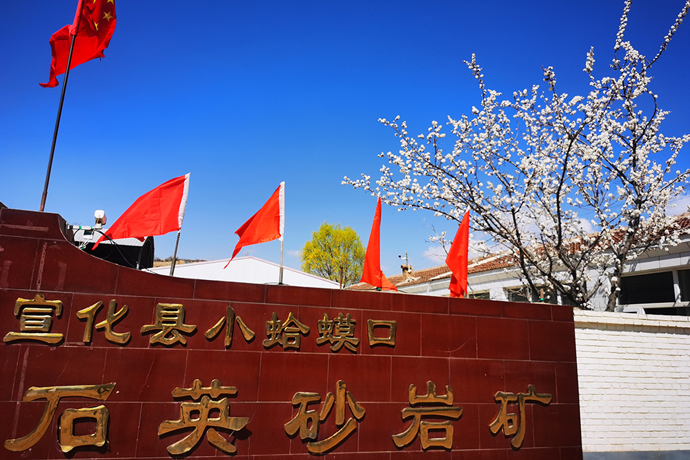 图片01