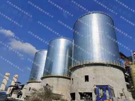 中信重工工程技术有限责任公司(罗源闽光项目)--粉煤灰 中信重工工程技术有限责任公司(罗源闽光项目)--粉煤灰