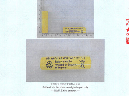 鎳鎘AA600海運報告4