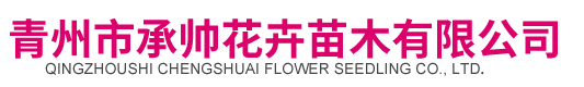 青州市承帅花卉苗木有限公司