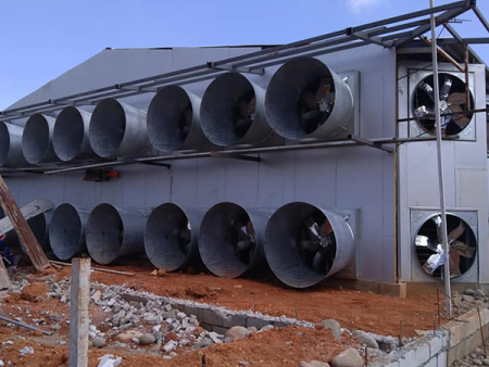 Broiler  Raising System