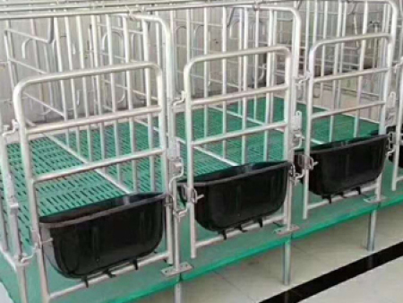 pig gestation crate pig gestation crate
