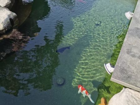 微信图片_20220523093124