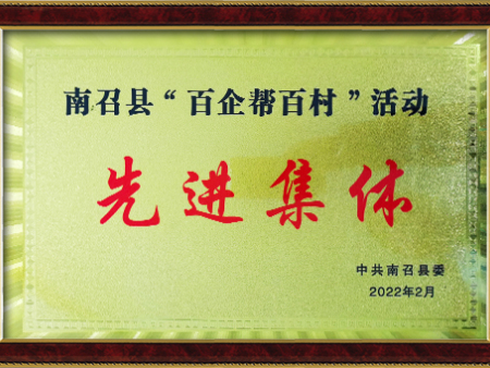 2022年百企幫百村先進(jìn)集體