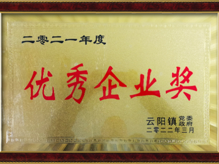 2022年優(yōu)秀企業(yè)獎(jiǎng)