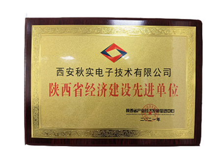 荣誉证书（陕西省经济建设先进单位）