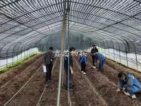貴州省納雍縣寨樂產(chǎn)業(yè)園竹蓀大棚智能化示范升級項目