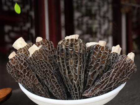 与羊肚菌相克的食物