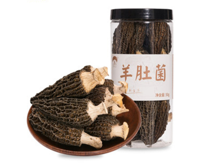 羊肚菌