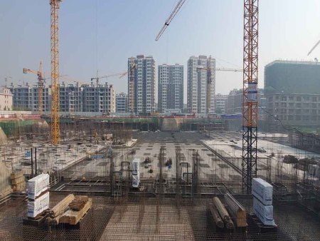 潍坊保利海棠项目