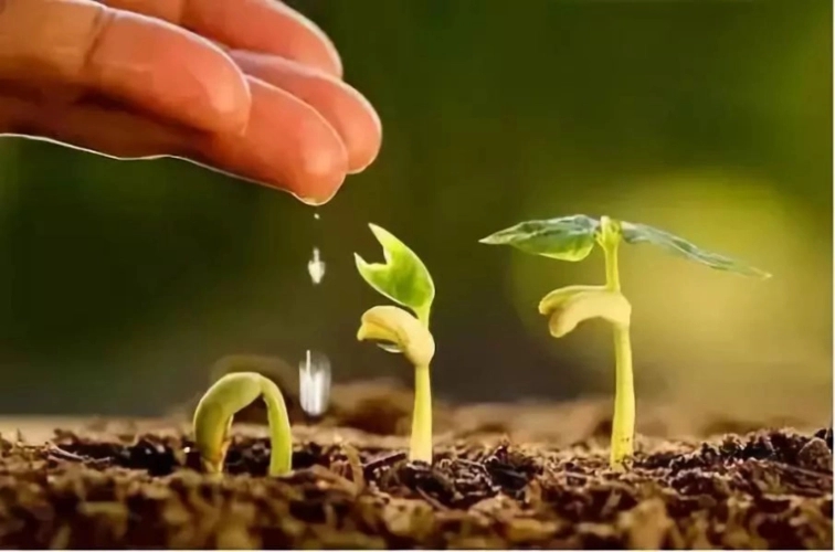 生物有機(jī)肥的發(fā)展現(xiàn)狀
