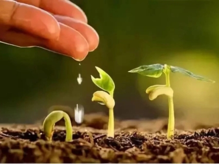 生物有机肥的发展现状