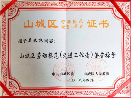山城区劳动模范（先进工作者）荣誉称号