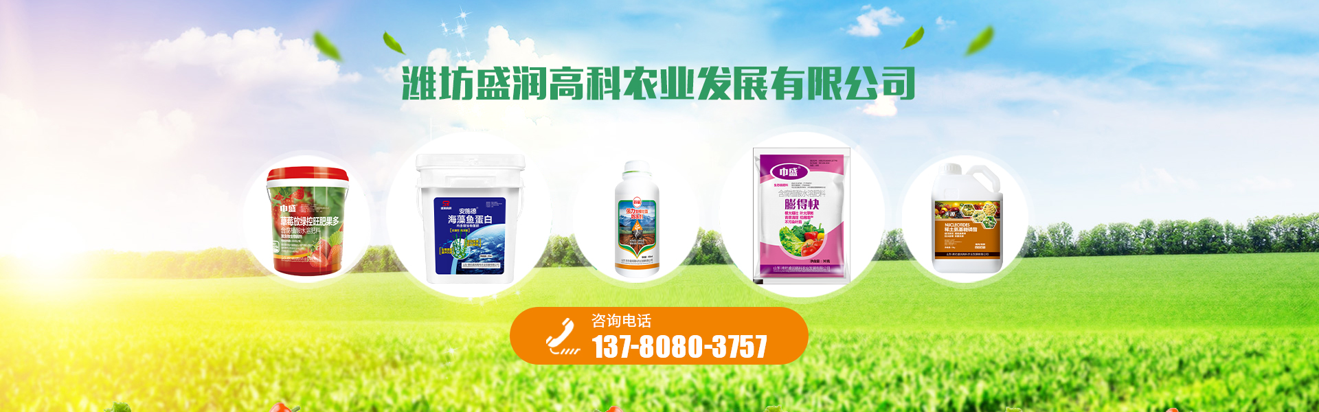 葉面肥_水溶肥_植物調(diào)節(jié)劑 - 濰坊盛潤(rùn)高科農(nóng)業(yè)有限公司