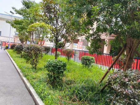 养老院户外环境