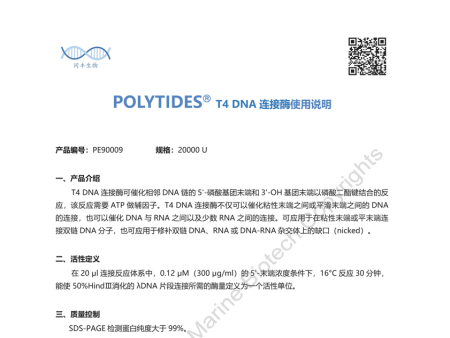 T4 DNA连接酶产品说明书