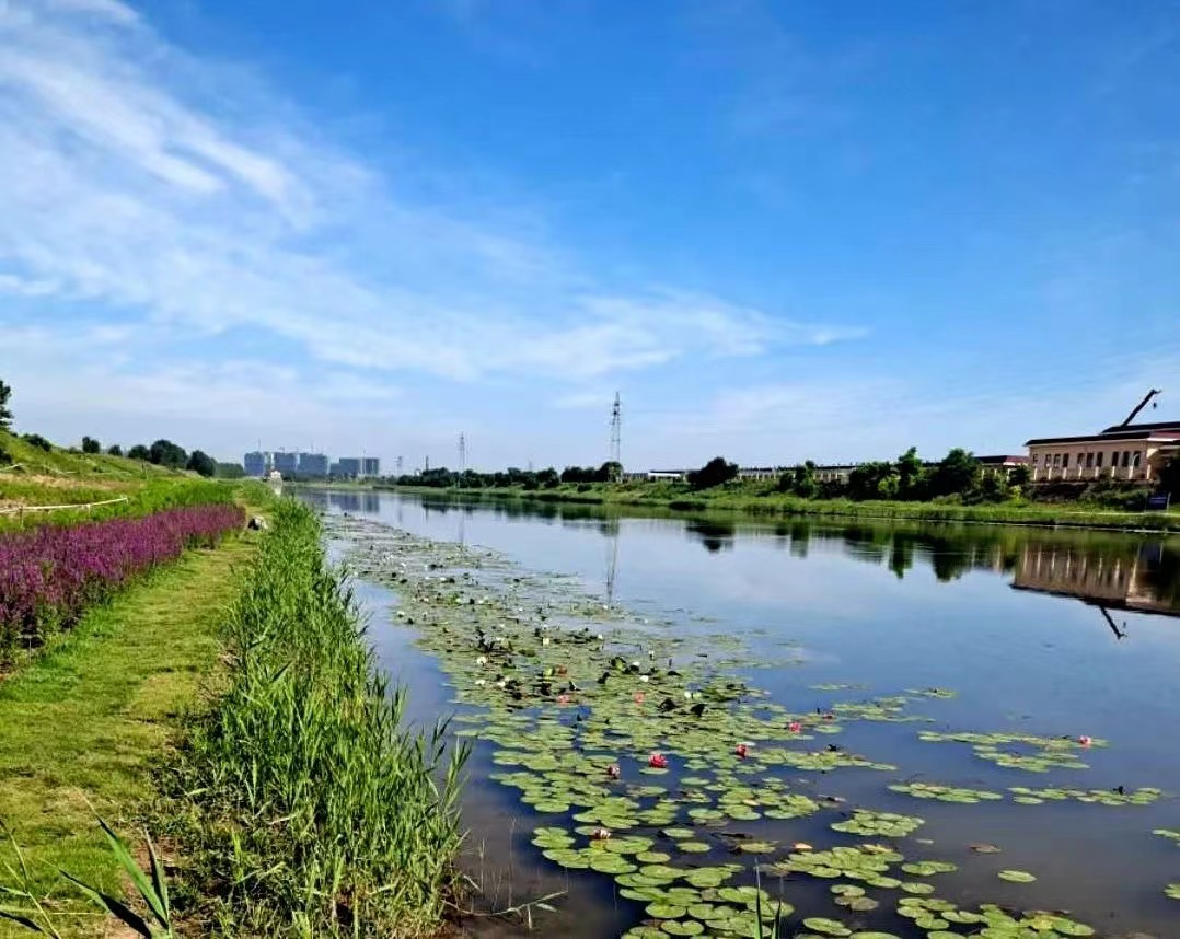 雷克環(huán)境中標(biāo)青島膠州市金冠韻河運(yùn)維項(xiàng)目