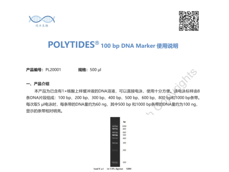 100 bp DNA Marker产品说明书