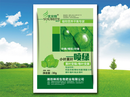 小葉黃葉一噴綠