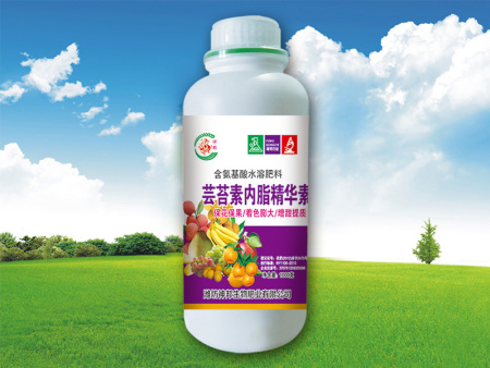 蕓苔素內脂精華素