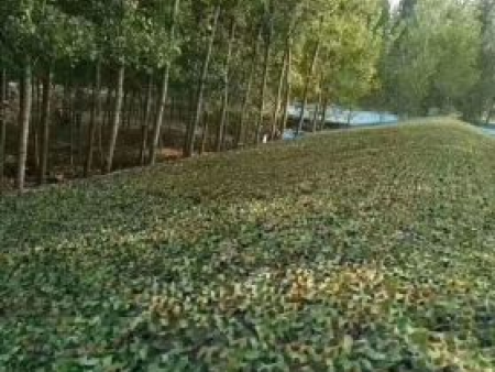 微信截图_20220719104536