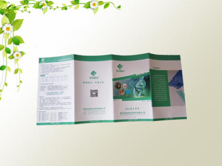 泰安宣传页_四折页画册