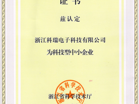 浙江省科技中小企业证书 浙江省科技中小企业证书