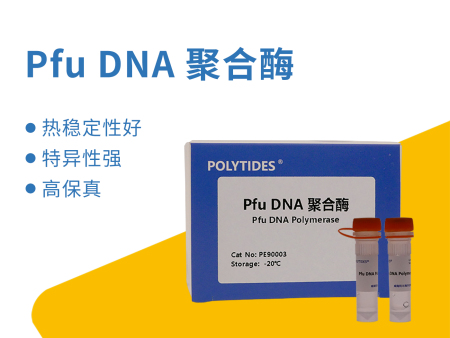 Pfu DNA聚合酶