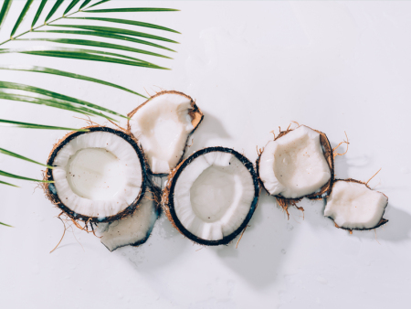 金黄椰蓉-福建金黄椰蓉生产商