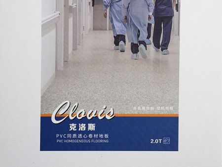 洁福克洛斯野心