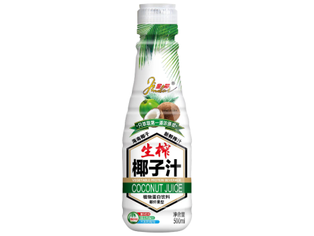 椰子汁（500mlx15瓶）
