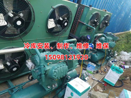 冷库安装、制作、维修、维保 (4)