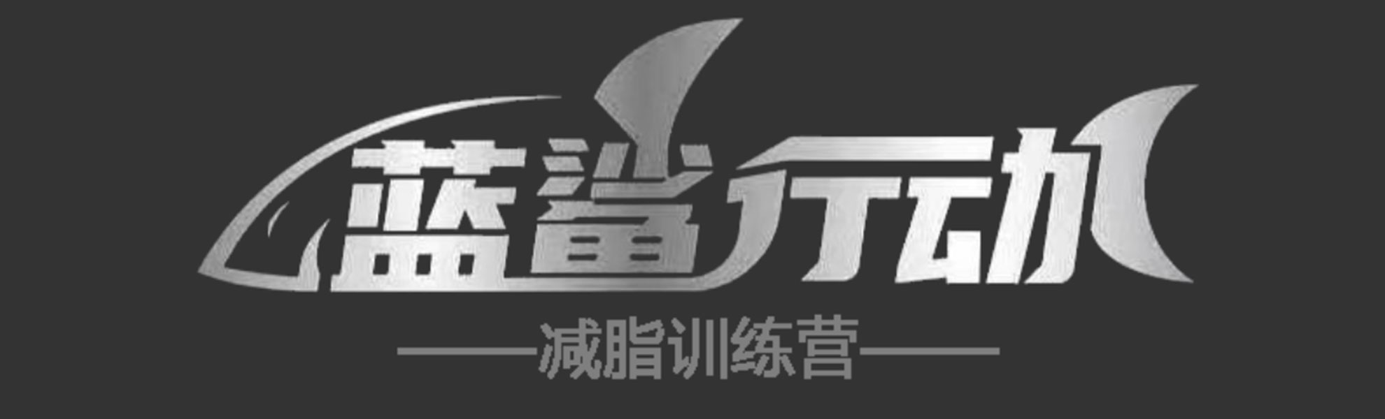 沈阳蓝鲨行动体育发展有限公司