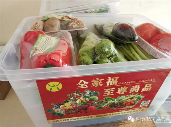 十年匠心只做一箱好菜！記楊凌綠陽禮品菜