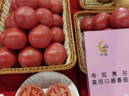 优良的西红柿品种——布尼奥尔