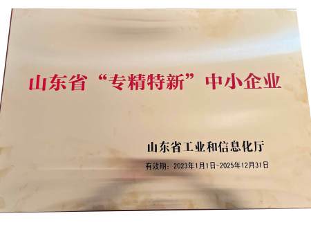 山东省“专精特新”中小企业