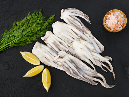 Fresh squid head
