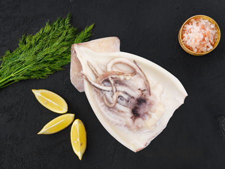 frozen squid