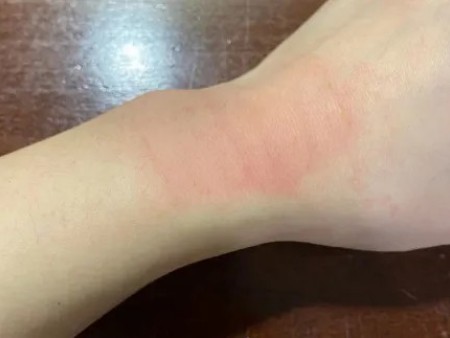 唐山青尔秀蜂蜜贴供货商 唐山青尔秀蜂蜜贴供货商