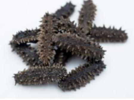 烟台海参批发   烟台***海参