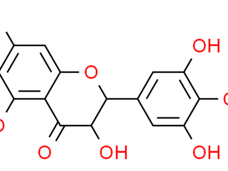 二氢杨梅素的好处