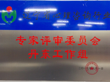 省行会专评委丹东工作组