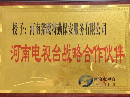 河南电视台战略合作伙伴