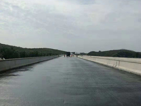 道桥专用防水涂料