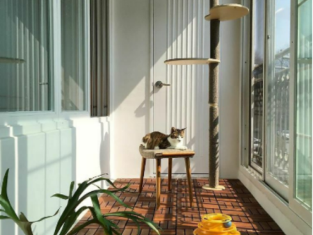 efd44bd3e43d1b43b006f8c014fb915 efd44bd3e43d1b43b006f8c014fb915