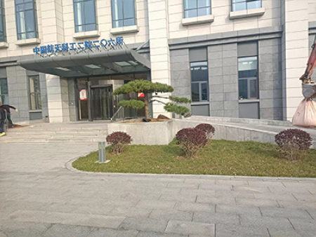 造型松施工案例