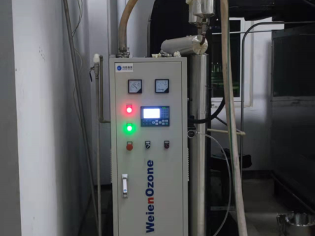 山东艾兰药业有限公司——水冷式臭氧发生器调试现场