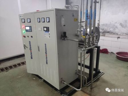 武汉久安药业有限公司——水冷式臭氧发生器调试现场