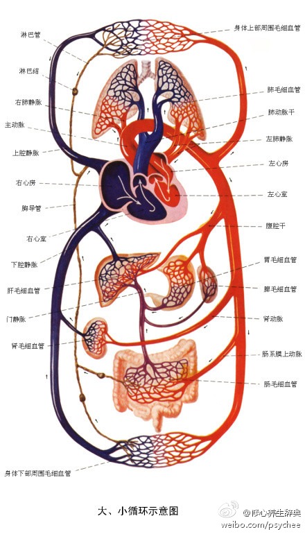 身体六个征兆