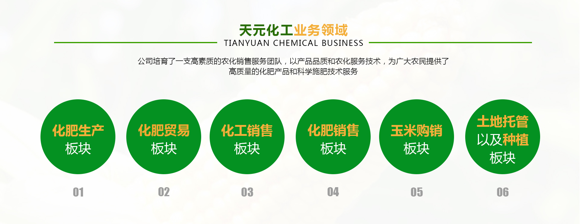 天元化工的业务领域板块